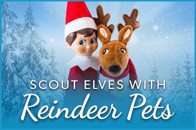 Reindeer Pet, Elf Pets, Heads Together, Awesome Elf On The Shelf Ideas, The Elf On The Shelf, Fun Adventures, Cute Ideas, Jelly Bean, No Limit