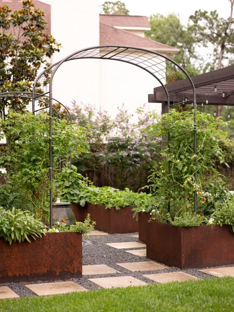 Modern Raised Beds, Raised Steel Garden Beds, Metal Vegetable Garden, Corten Steel Raised Garden Beds, Corten Steel Garden Beds, Contemporary Vegetable Garden, Backyard Focal Point Ideas, Metal Raised Bed Garden, Steel Garden Beds