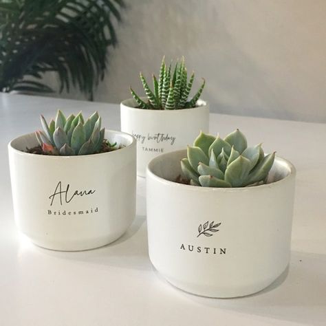 Cute Succulent Pots, Wedding Placement, Cactus Bar, Wedding Placement Cards, Scan N Cut Projects, Coworkers Christmas, Succulent Gift, Bridesmaid Boxes, Succulent Gifts