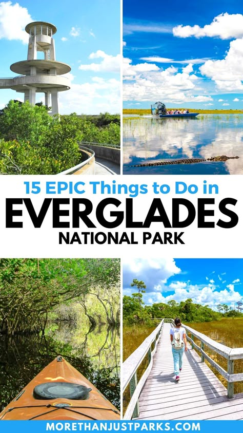 things to do in everglades national park, things to do in the everglades Florida National Parks, National Park Itinerary, Florida Everglades, The Everglades, Everglades Florida, Everglades National Park, National Park Photos, Free Checklist, Usa Travel Guide