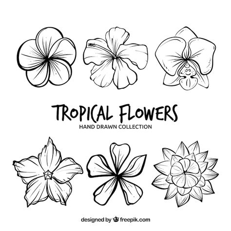 Sea Flowers, Tropical Flowers, Moana, Preschool Crafts, Flower Drawing, Travel Art, Flower Tattoo, Mood Board, Hand Drawn