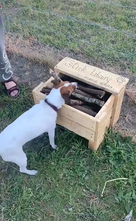 Man Builds A Stick Library For Every Dog At The Park Small Dog Park Ideas, Fun Dog Run Ideas, Dog Parks Ideas, Activities For Dogs Outdoor, Dog Climbing Structure, At Home Dog Park, Outside Dog Activities, Outdoor Play Area For Dogs, Home Dog Park Ideas