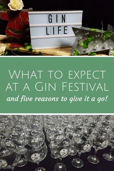 What to expect at a Gin Festival (and five reasons to go to one!). If you like gin, whether you're an amateur enthusiast or a connoisseur, here is what you can expect at a #ginfestival #ginfest #gin #gindrinkers Gin Festival, Garden Parties, Parenting Blog, Mom Humor, Parenting Hacks, Garden Party, Kids Meals, Gin, Mom Life