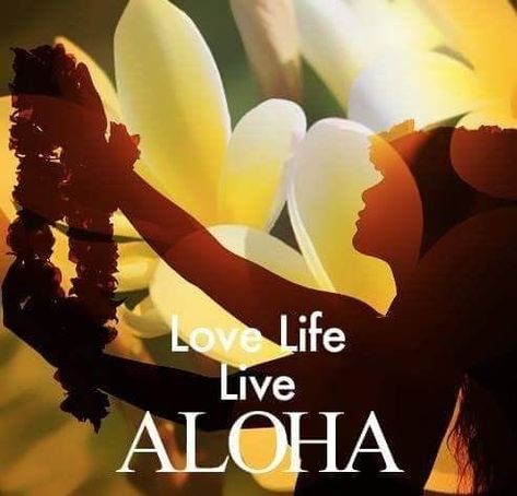 Hawaii Leis, Hawaiian Words And Meanings, Hawaii Quotes, Hawaiian Phrases, Hawaiian Quotes, Happy Aloha Friday, Luau Food, Hawaiian History, Hawaiian Quilt Patterns