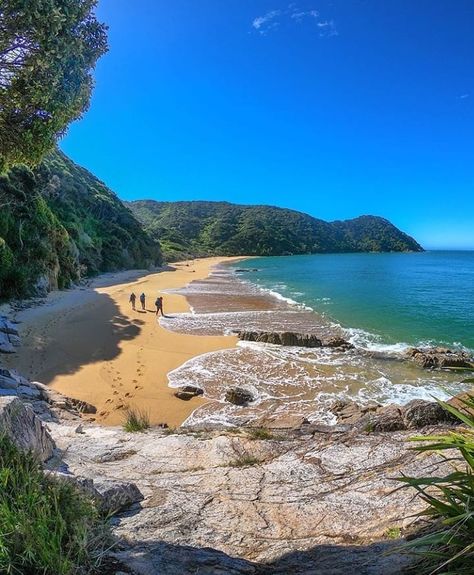 Abel Tasman New Zealand, World Painter, Friends Vibe, Abel Tasman National Park, 2025 Moodboard, New Zealand Beach, Queenstown Nz, New Zealand Trip, Abel Tasman