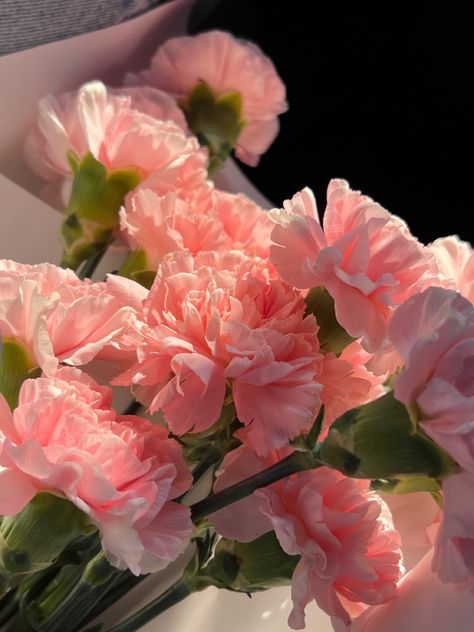 Pink Carnation Aesthetic, Carnation Aesthetic, Roses And Carnations, Pink Carnations, Nothing But Flowers, Flower Therapy, Natural Gifts, Something Beautiful, Love Flowers