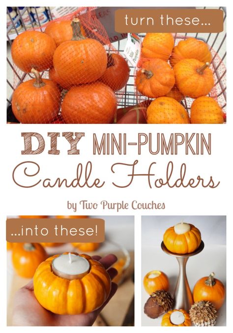 Great step-by-step tutorial for turning miniature pumpkins into cute candle holders. Perfect for my Thanksgiving table! via www.twopurplecouches.com Mini Pumpkin Candle Holders, Diy Fall Centerpieces For Table, Purple Couches, Diy Fall Centerpieces, Diy Pumpkin Candle, Craft Paper Wrapping, Cranberry Thanksgiving, 1st Thanksgiving, Purple Couch