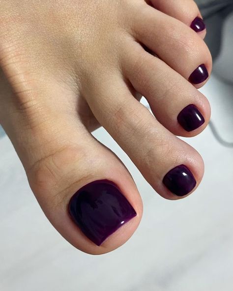 Dark Pedicure Colors, Pedicure Trends, Blue Pedicure, Purple Toe Nails, Trending Nail Polish Colors, Purple Toes, Fall Toes, Purple Tips, Gel Pedicure