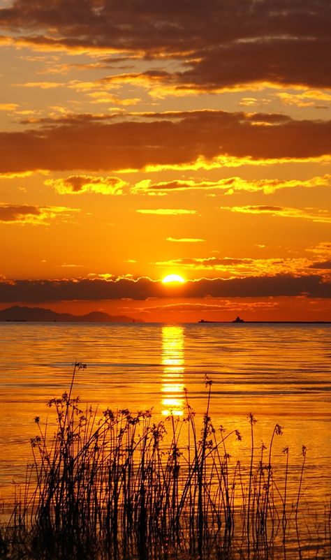 Golden Sun Aesthetic, Golden Hour Photos, Golden Hour Photography, Flowers Background, Yellow Sky, Pretty Landscapes, Orange Aesthetic, Sunset Wallpaper, Yellow Aesthetic