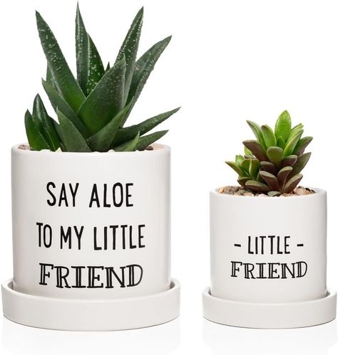 2 pack ceramic aloe and succulent pot
The planters are 11'' and 8'' tall and are perfect for aloe plants and succulents.
Drainage holes in the bottom and base included
Perfect gift for gardeners, plant lady, funny gardening gift
Backed by our satisfaction Assurance
is assembly required: False Aloe Plants, Funny Housewarming Gift, Funny Gardening, Gardening Gift, Plant Lady, Succulent Planter, Housewarming Gift, Succulent, Lawn