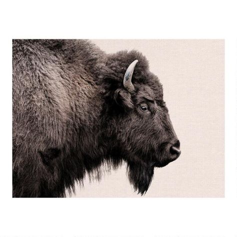 Buffalo Profile Wall Art | World Market Art Pictures Ideas, Pinterest Baby, Buffalo Art, Fireplace Room, Unique Picture Frames, Buffalo Print, Image Cover, Wall Decor Canvas, Hanging Artwork