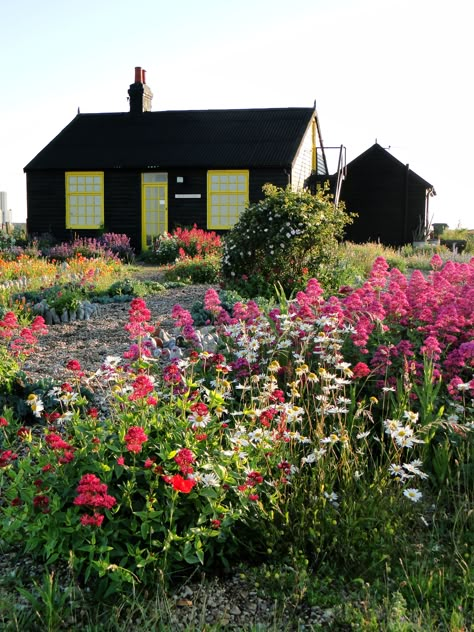 Derek Jarman's Garden - Prospect Cottage in Kent, England. Go here someday! Gorgeous! Derek Jarman Prospect Cottage, Derek Jarman Garden, Prospect Cottage, Derek Jarman, Seaside Garden, Garden Tours, Small Garden Design, English Garden, Lush Green