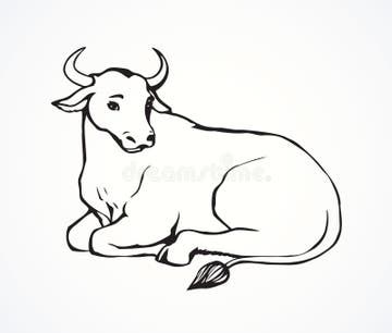 Cow Laying Down Drawing, Horns Illustration, Cow Drawing Easy, Cow Drawing, Happy Pongal, Drawing Graphic, Cool Pencil Drawings, Animal Silhouette, Stock Photography Free