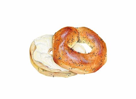 Bread & Pastry on Behance Bagel Art, Bagel And Cream Cheese, Donut Mix, Blueberry Bagel, You're The Worst, Glazed Doughnuts, Cheese Food, Bagel Cream Cheese, Food Sketch