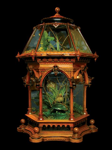 vintagemen1800s1900s: “ Unusual Victorian Renaissance revival hexagonal terrarium. English, Circa 1860-70 ” Victorian Terrariums, Wood Terrarium, Décor Steampunk, Wardian Case, Steampunk Tendencies, Steampunk Decor, Terraria, Futurism, Dieselpunk