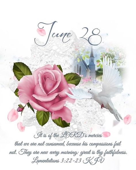 December Scriptures, June Quotes, Southern Baptist Church, June Days, Imperfect People, Lamentations 3 22 23, New Every Morning, June 1st, Biblical Verses