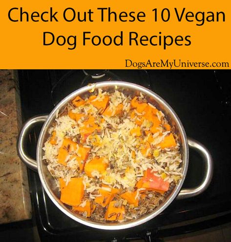 Dog Training Treats Recipe, Dog Food Recipes Homemade, Pet Food Recipes, Vegan Dog Food, Dog Food Homemade, Homemade Dog Cookies, Recipes For Dogs, Pet Recipes, Dog Biscuit Recipes