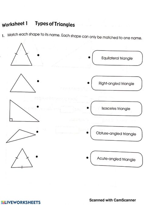 Triangles online worksheet for Grade 5. You can do the exercises online or download the worksheet as pdf. Triangle And Its Properties Class 7 Worksheet, Types Of Triangles Worksheet, Kinds Of Triangles, Types Of Triangles, Classifying Triangles, Triangle Math, Math Properties, Children's House, Math Fact Worksheets