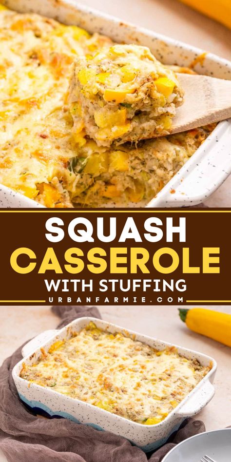 A yellow squash casserole with stuffing! This side dish for dinner is also great as a main dish. Creamy with a perfect combo of savory and hearty, this easy squash casserole recipe is a vegetarian food you'll surely love! Squash Casserole With Stuffing Recipe, Squash And Stuffing Casserole, Yellow Squash Casserole With Stuffing, Easy Vegetable Casserole Recipes, Stuffing Squash Casserole, Squash Stuffing Casserole, Easy Squash Casserole Simple, Squash Casserole With Stuffing, Condensed Mushroom Soup