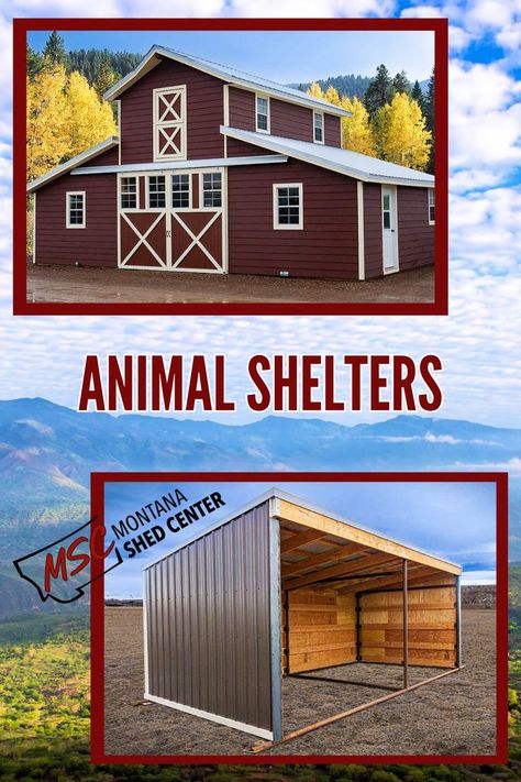 All animals deserve shelter from the weather, especially in the harsh climates of the Northwest. We offer animal shelters from large to small. Check out what we have on our website | Horse | Farm | Livestock | Llama | Outdoor | Barn | Chicken Coops Livestock Shelter, Horse Shelter, Run In Shed, Farm Plans, Dog Kennels, Animal Shelters, Horse Farm, All Animals, Chicken Coops