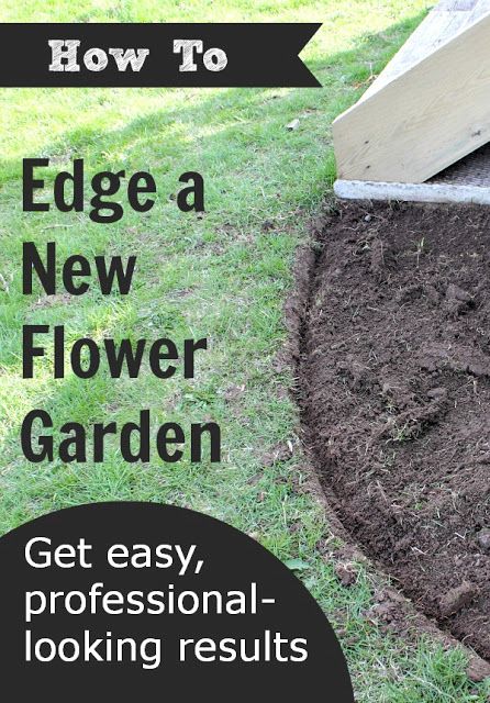 The Creek Line House: How to Edge a Flower Garden http://www.creeklinehouse.com/2013/05/how-to-edge-flower-garden.html?_szp=461833 New Flower, Easy Flower, Have Inspiration, Flower Gardens, Garden Yard Ideas, Garden Edging, House Diy, Flower Bed, Outdoor Landscaping