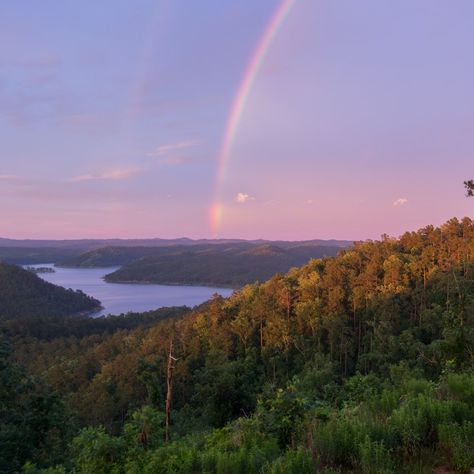 From taking to the trails to enjoying Broken Bow lake, here are the best ways to enjoy the great outdoors in Broken Bow, Oklahoma, plus the best Broken Bow cabins. Broken Bow Cabins, Beavers Bend State Park, Broken Bow Oklahoma, Broken Bow Lake, Wildlife Rehabilitation, Outdoor Paradise, Broken Bow, Playlist Covers, Modern Cabin