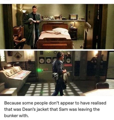 Supernatural Finale, Scooby Doo Pictures, Supernatural Tumblr, Supernatural Pictures, Supernatural Memes, Supernatural Funny, Winchester Brothers, Supernatural Cast, Hunting Trip