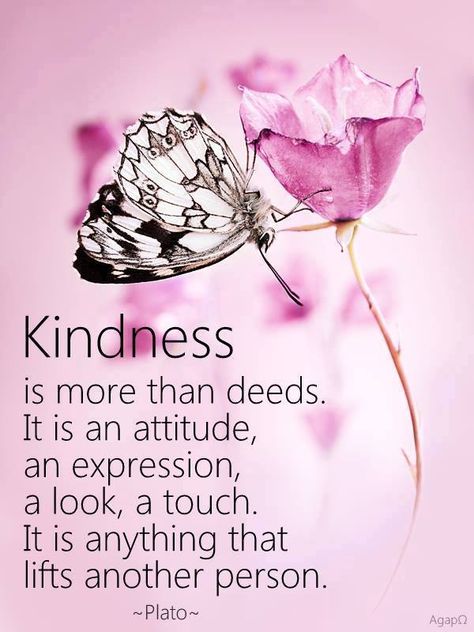 Kindness is more than deeds... <3 Butterfly Quotes, Kindness Quotes, English Quotes, Positive Words, Random Acts Of Kindness, A Butterfly, A Quote, Positive Thoughts, Beautiful Quotes