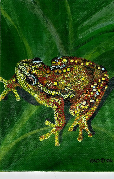 Spotted Reed Frog, acrylic dot painting Rachel Dillon, Adult Learning Theory, Design Techniques, Nature Artists, Organic Art, Frog Art, Dot Art Painting, Learning Design, Mandala Painting