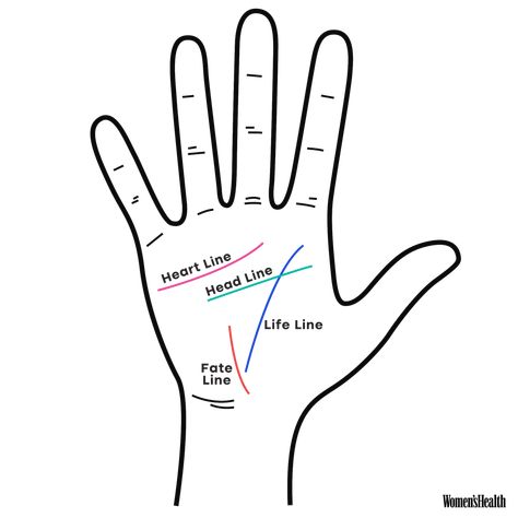 How To Read Palm Lines, How To Read Hands Lines, Hand Reading Palms, Life Line Palmistry, Hand Lines Meaning, How To Read Palms, Palm Lines Meaning, Palm Reading Lines, Palm Lines