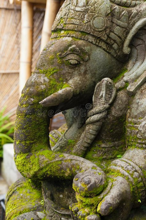 Ganesh royalty free stock photos Garden Statues For Sale, Moss Growing, Jungle Temple, Girl With Green Eyes, Indian Idol, Ancient Statues, Elephant Statue, 3d Modelling, Ancient Aliens