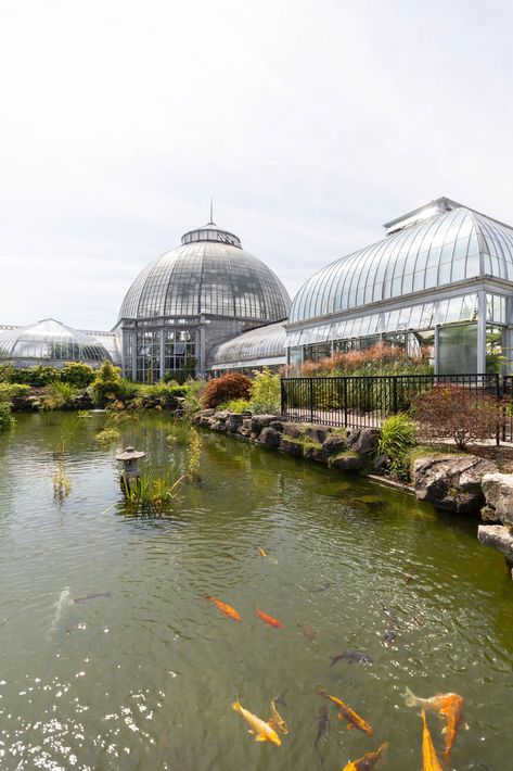 Belle Isle Tropical Conservatory and Aquarium in Detroit Michigan Photographed by Annie Fairfax Tropical Conservatory, Harbor Springs, Canada Travel Guide, Detroit Institute Of Arts, Midwest Travel, Belle Isle, Vacation Inspiration, Mackinac Island, Bay View