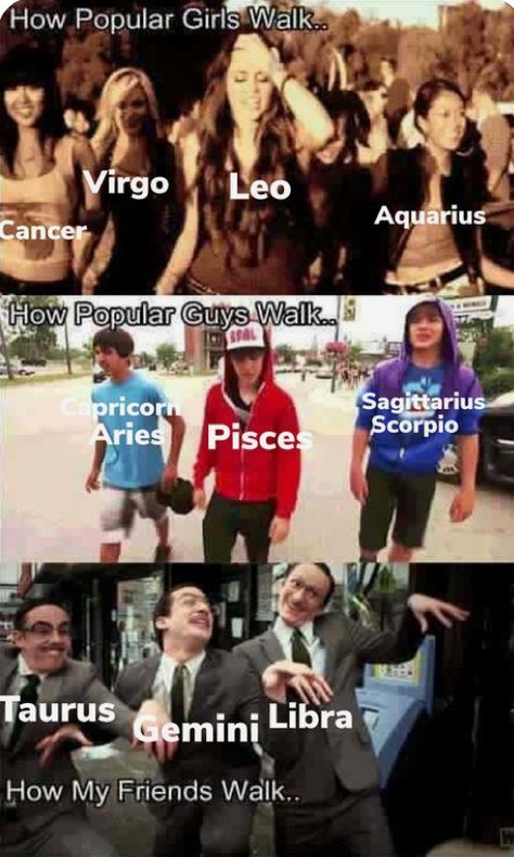 Zodiac Funny Memes, Mbti Funny, Leo And Aquarius, Zodiac Sign Fashion, Zodiac Characters, Zodiac Signs Chart, Anime Zodiac, Zodiac Signs Scorpio, Zodiac Funny