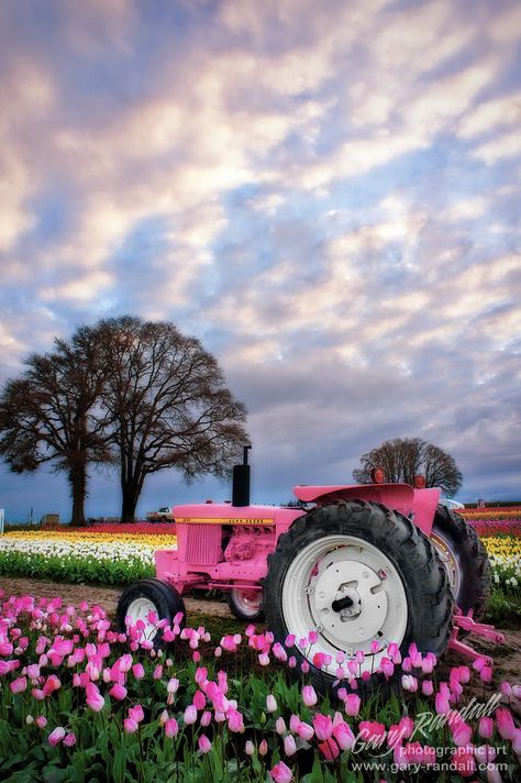 Budget Gifts, Pink Tractor, I Believe In Pink, Pink Everything, Image Nature, Pink Passion, Pink Stuff, Pink Things