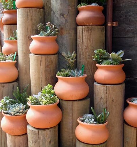 diy backyard planter Tanaman Air, نباتات منزلية, Cactus Garden, Container Gardens, Diy Planters, Succulent Garden, Succulents Garden, Clay Pots, Rock Garden