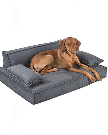 Modern and Sophisticated European double stitch detailed bed from Bowsers Dog Bed House, Small Dog Beds, Large Dog Beds, Dog Bad, Animal Rugs, Dog Teepee, Stylish Dog Beds, Cat Furniture Design, Luxury Dog Bed