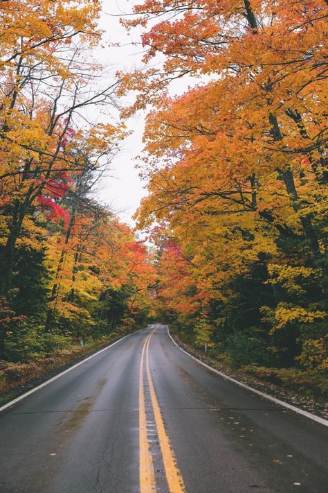 Fall In Michigan, Mountain Crystal, Michigan Photography, Crystal Falls, Michigan Wedding Venues, Iron Mountain, New England Fall, Adventure Nature, Photographer Camera