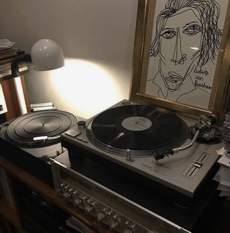 Chaotic Room Aesthetic, Vinyl Aesthetic, Chaotic Academia, Hidden Beauty, Music Aesthetic, Academia Aesthetic, The Secret History, Brown Aesthetic, Record Player