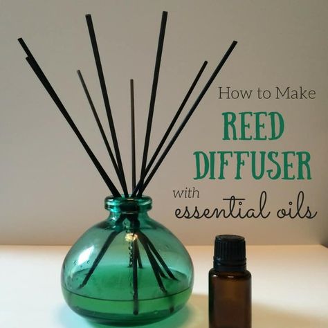 Reed Diffuser Recipe, Diy Reed Diffuser, Homemade Reed Diffuser, Oils For Energy, Helichrysum Essential Oil, Essential Oil Reed Diffuser, Reed Diffuser Oil, Essential Oils For Pain, Cedarwood Oil