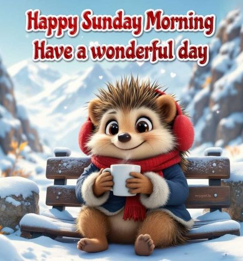 Sunday Morning Images, Carol King, Good Morning Happy Weekend, Sunday Humor, Good Morning Animals, Happy Sunday Images, Good Morning Winter, Good Morning Sunday Images, Happy Sunday Morning