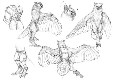 Owl Development Part 2 by tashcrow Owl Person Character Design, Owl Folk Dnd, Owling Dnd, Owl Fursona, Anthro Owl, Owl People, Owl Person, Species Design, Owl Character