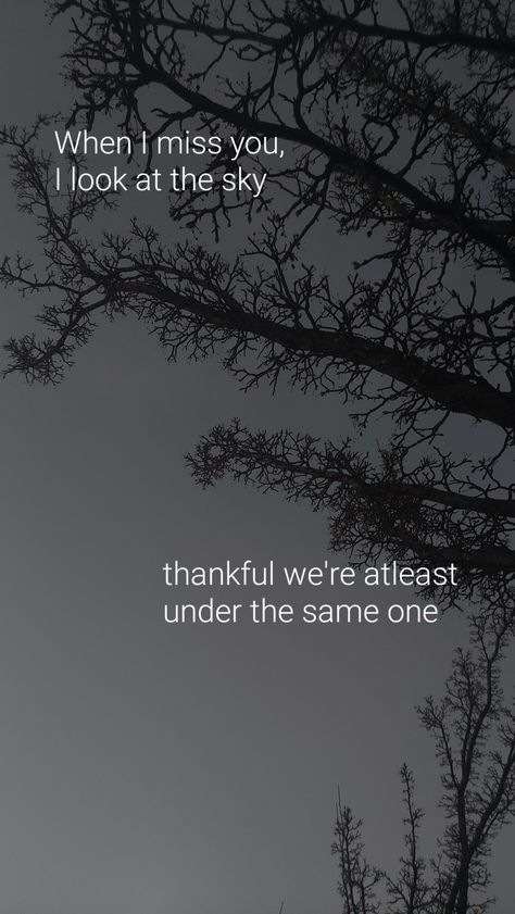 There are trees at New York and I'm missing you. Lost Asthetic Picture, At Least We Are Under The Same Sky, Under The Same Sky, When I Miss You, Long Lost Love, Feeling Pictures, Look At The Sky, Lost Love, I Miss You