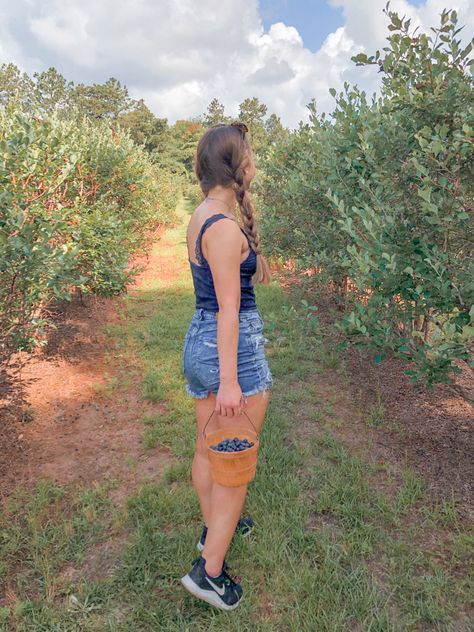 fruit farm picking blueberries candid blue Blueberry Picking Pictures, Blueberry Field Photoshoot, Blueberry Picking Outfit, Blueberry Aesthetic, Picking Blueberries, Fruit Farm, Blueberry Picking, Blueberry Farm, Classic Academia