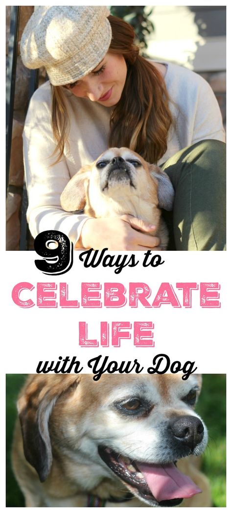 Show your dog how much you love him/her. Here are some ways on how to celebrate life with your dog. | Dog Lovers | Tips for Dog Owners Dog Last Day, Mommy Inspiration, Strip Clubs, Dog Tips, Animal Room, Celebrate Life, Pet Life, Las Vegas Strip, Animal Quotes