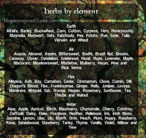 Shared by My Twisted Path on FB Wild Witch, Magickal Herbs, Witch Garden, Irish Moss, Magic Herbs, Kitchen Witchery, Witch Spell Book, Hedge Witch, Magical Life