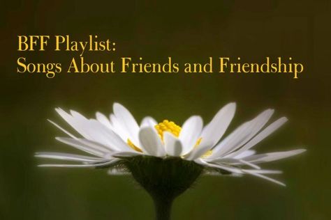 Make a BFF Playlist for your Best Friend: 41 Songs About Friends and Friendship Songs About Best Friends, Best Friend Quiz, Playlist Music, Xavier Rudd, Brother From Another Mother, Friend Quiz, Friendship Songs, About Friends, Songs Playlist