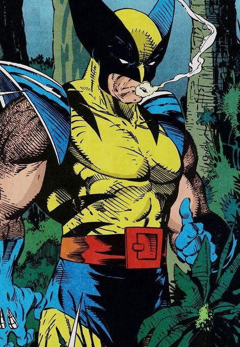 Wolverine Wolverine Comic Panels, Classic Wolverine, Wolverine Pfp, Wolverine 2024, Wolverine Comic Art, Wolverine Comic, Wolverine Art, Todd Mcfarlane, Wolverine Marvel