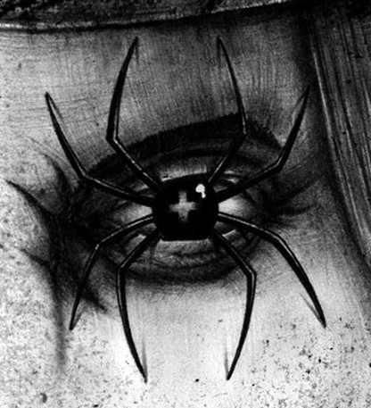 spider kinda gross eye Spider Web Drawing, Horror Photos, Spider Art, Look Into My Eyes, Spider Woman, Eye Art, Eye Drawing, My Eyes, Art Drawings Sketches