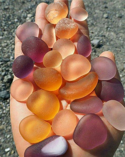 Sea Glass Colors, Crystal Aesthetic, Sea Glass Beach, Pretty Rocks, Sea Glass Crafts, Glass Beach, Cool Rocks, Chihuly, Rocks Crystals