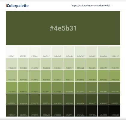 Pantone 574 C Color | Hex color Code #4E5B31  information | Hex | Rgb | Pantone Pantone Color Book, Space Information, Hexadecimal Color, Code Color, Hex Color, Color Pantone, Purple Color Schemes, Dark Slate Blue, Brown Color Palette